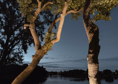 Éclairage d'arbre avec projection en hauteur - Pro-jet - Irrigation éclairage paysager - Mont-saint-hilaire - Rive-sud