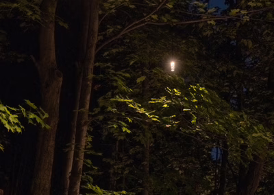 Éclairage d'arbres avec lumières pendantifs - Pro-jet - irrigation éclairage paysager - Mont-Saint-Hilaire - Rive-Sud